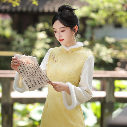 Women's Qipao Dongyun 冬韵 Asian Thicken Dress Chinese Modern Hanfu Clothing Velvet Cheongsam Winter