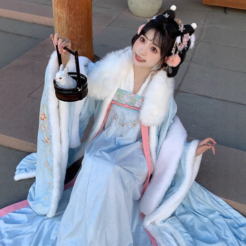 TANG Dynasty Clothing Yuchen 玉尘 Ruqun Women's Chinese Traditional Thicken Velvet Hanfu Autumn Winter