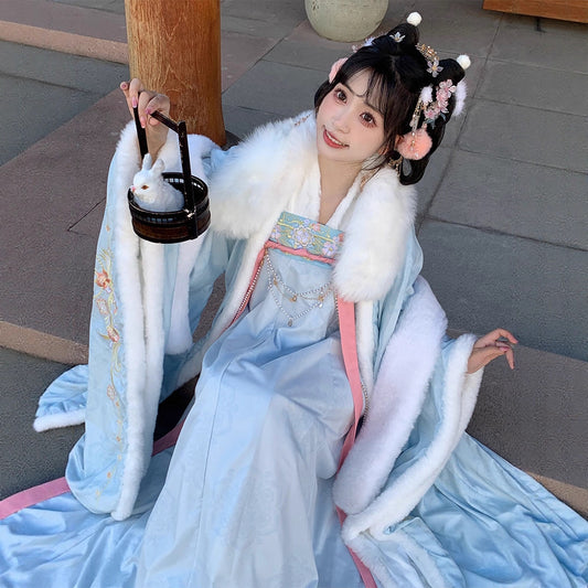 TANG Dynasty Clothing Yuchen 玉尘 Ruqun Women's Chinese Traditional Thicken Velvet Hanfu Autumn Winter