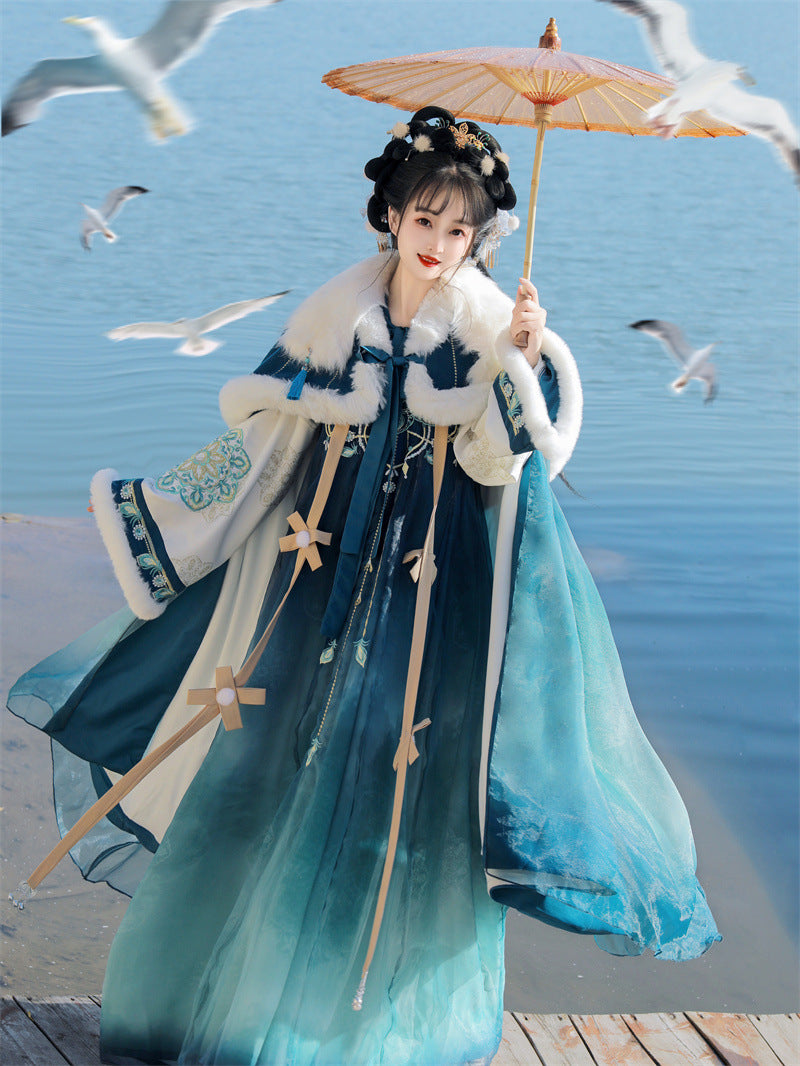 TANG Dynasty Clothing Yanruyu 颜如玉 Ruqun Women's Chinese Traditional Thicken Velvet Hanfu Autumn Winter