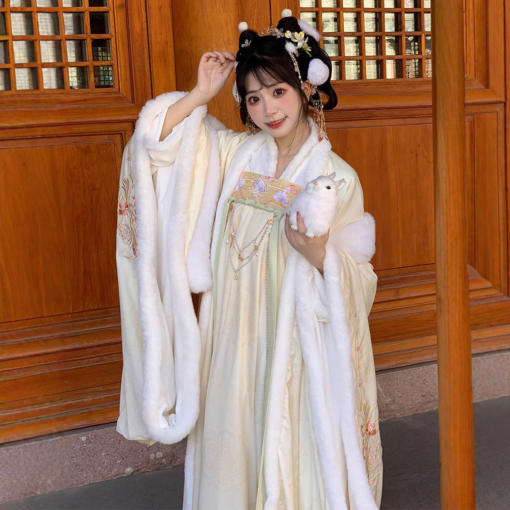 TANG Dynasty Clothing Yuchen 玉尘 Ruqun Women's Chinese Traditional Thicken Velvet Hanfu Autumn Winter