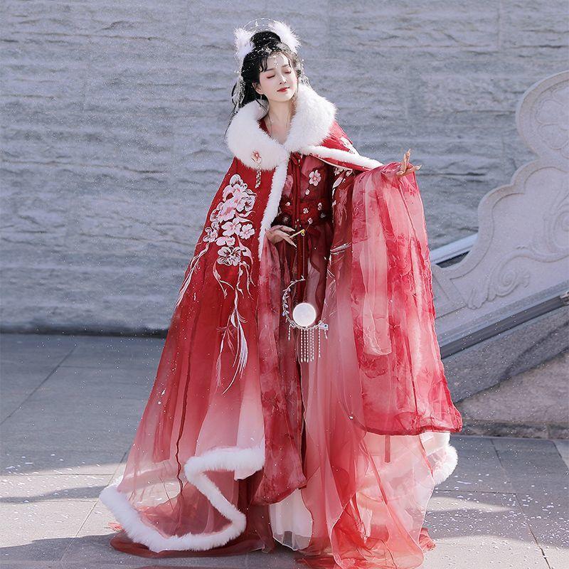 Weijin Dynasty Clothing Meiyingchunxue 梅映春雪 Women's Chinese Traditional Thicken Velvet Hanfu Autumn Winter