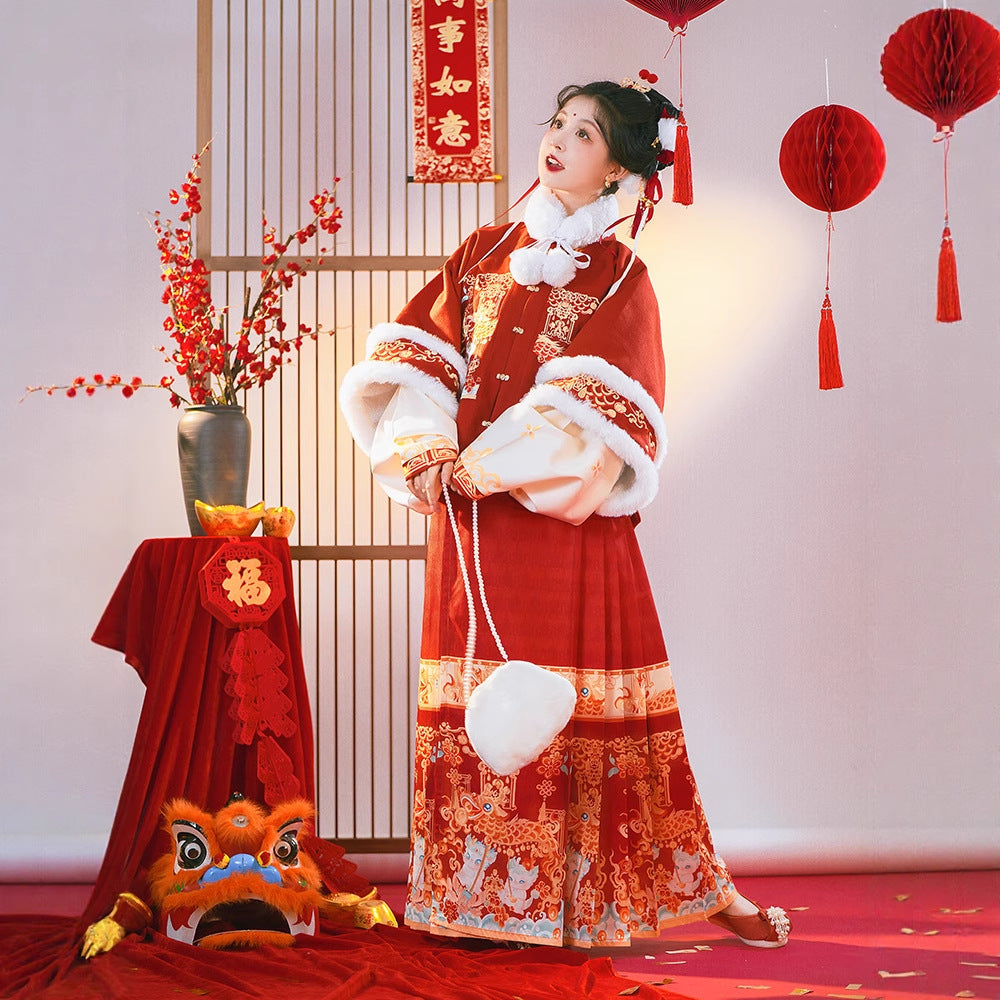 Ming Dynasty Mamian Clothing Baolong 宝龙 Women's Chinese Traditional Thicken Velvet Lunar New Year Hanfu Autumn Winter