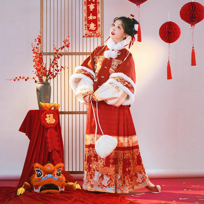 Ming Dynasty Mamian Clothing Baolong 宝龙 Women's Chinese Traditional Thicken Velvet Lunar New Year Hanfu Autumn Winter