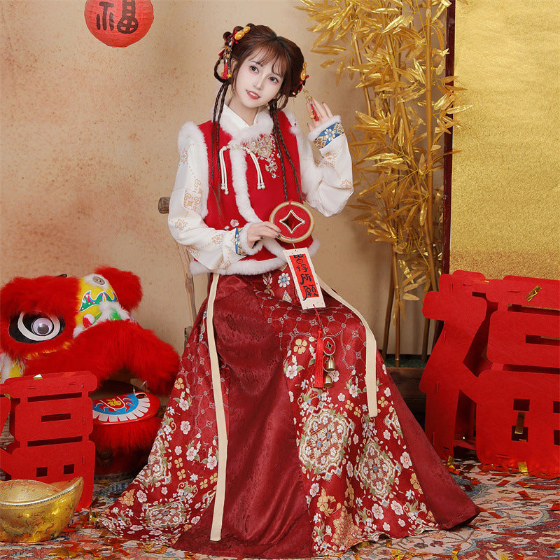 Ming Dynasty Clothing Chunshao 春梢 Women's Chinese Traditional Thicken Velvet Lunar New Year Hanfu Autumn Winter