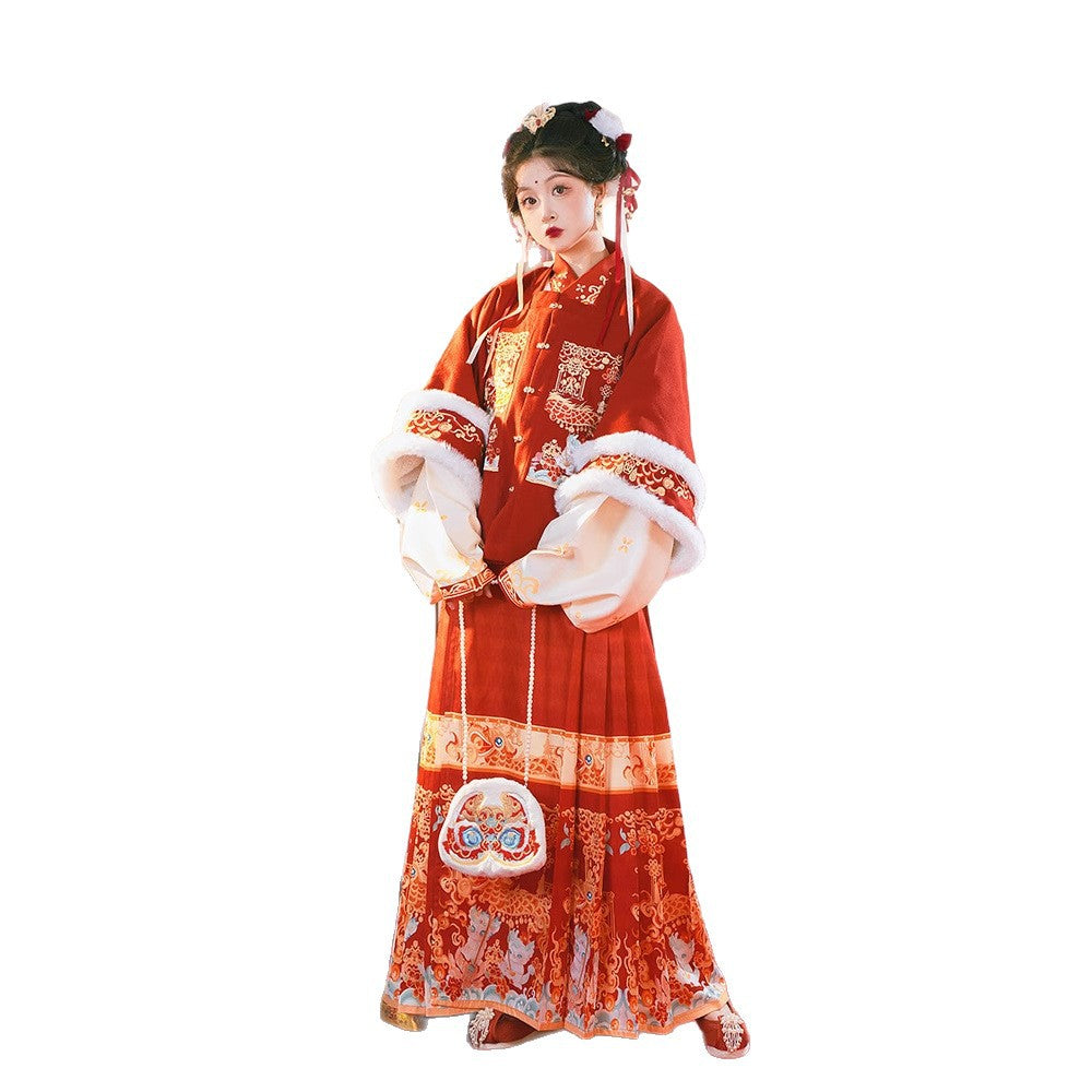 Ming Dynasty Mamian Clothing Baolong 宝龙 Women's Chinese Traditional Thicken Velvet Lunar New Year Hanfu Autumn Winter