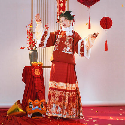 Ming Dynasty Mamian Clothing Baolong 宝龙 Women's Chinese Traditional Thicken Velvet Lunar New Year Hanfu Autumn Winter