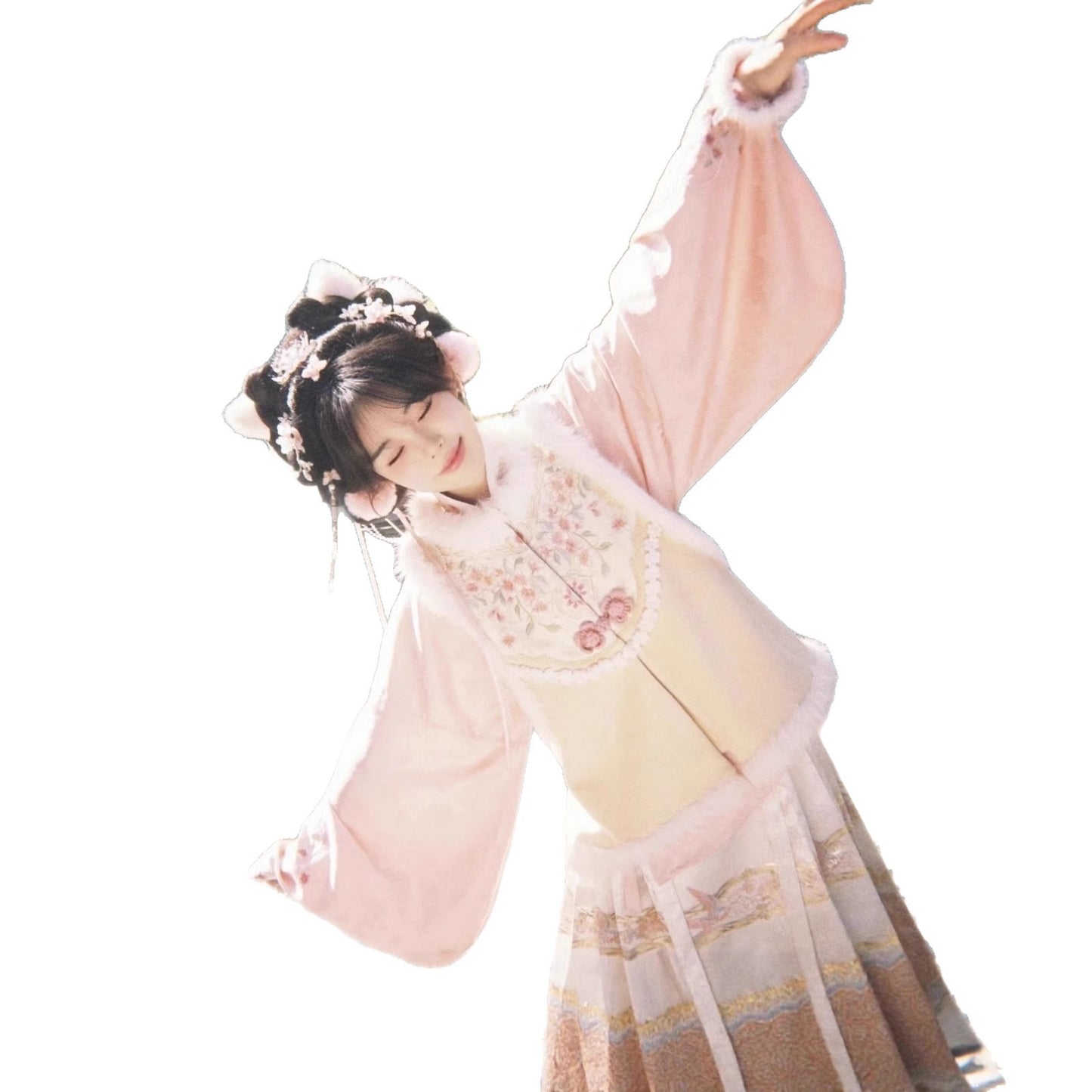 Ming Dynasty Clothing Qiao 俏 Women's Chinese Traditional Thicken Velvet Hanfu Autumn Winter