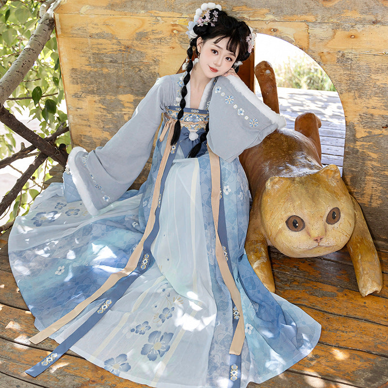 Tang Dynasty Dress Women's Robe Bingtang 冰糖 Chinese Ancient Traditional Style Velvet Clothing Winter