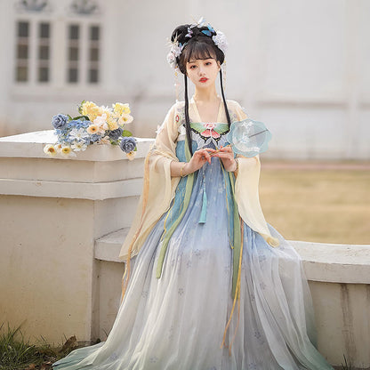 TANG Dynasty Dress Butterfly 蝴蝶 Women's Chest High Ruqun  Spring Summer Autumn