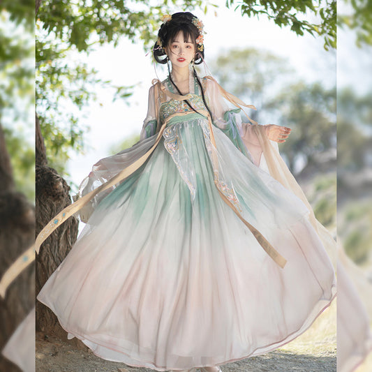 TANG Dynasty Dress Women's Spring Grace in Misty Rain 春晚嫣雨 Ruqun Hanfu Clothing Spring Summer Autumn
