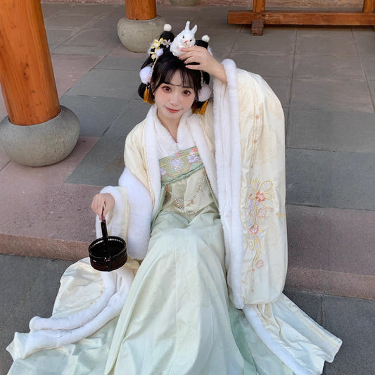 TANG Dynasty Clothing Yuchen 玉尘 Ruqun Women's Chinese Traditional Thicken Velvet Hanfu Autumn Winter