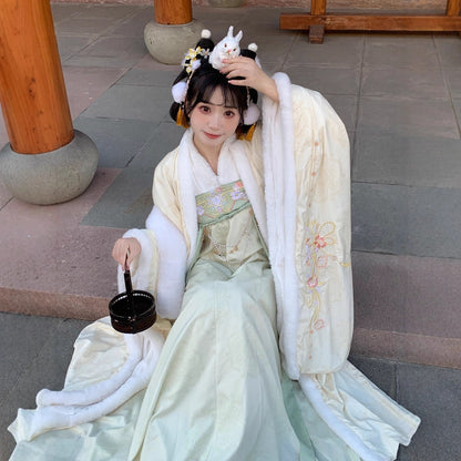 TANG Dynasty Clothing Yuchen 玉尘 Ruqun Women's Chinese Traditional Thicken Velvet Hanfu Autumn Winter