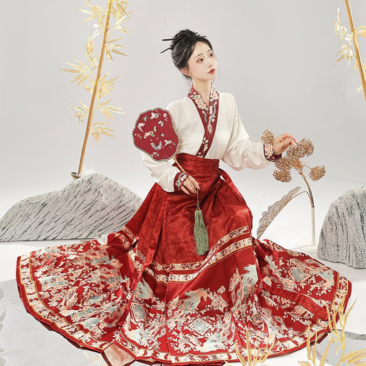 Ming Dynasty Dress Women's Mamian Skirt Fengxi 凤溪 Hanfu Clothing Spring Summer Autumn