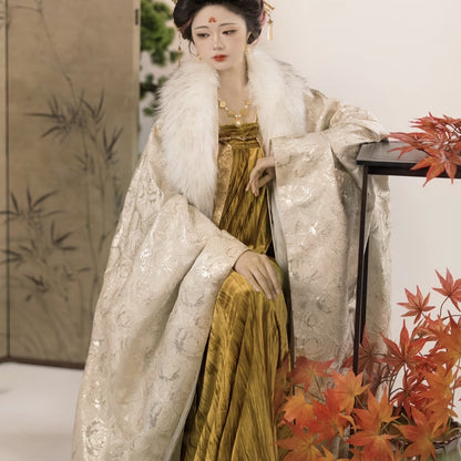 TANG Dynasty Clothing Guinv 贵女 Ruqun Women's Chinese Traditional Thicken Velvet Hanfu Autumn Winter