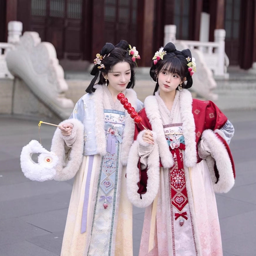TANG Dynasty Clothing Famensi 法门寺 Ruqun Women's Chinese Traditional Thicken Velvet Hanfu Autumn Winter