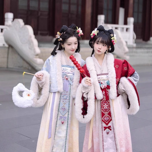 TANG Dynasty Clothing Famensi 法门寺 Ruqun Women's Chinese Traditional Thicken Velvet Hanfu Autumn Winter