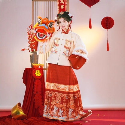 Ming Dynasty Mamian Clothing Baolong 宝龙 Women's Chinese Traditional Thicken Velvet Lunar New Year Hanfu Autumn Winter