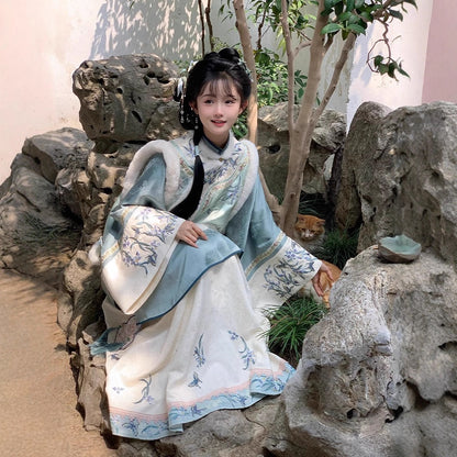 Qing Dynasty Clothing Languinvshu 兰闺女书 Women's Chinese Traditional Velvet Thicken Hanfu Autumn Winter