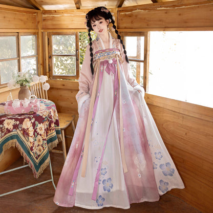 Tang Dynasty Dress Women's Robe Bingtang 冰糖 Chinese Ancient Traditional Style Velvet Clothing Winter