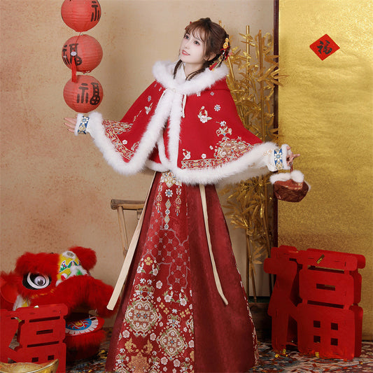 Ming Dynasty Clothing Chunshao 春梢 Women's Chinese Traditional Thicken Velvet Lunar New Year Hanfu Autumn Winter