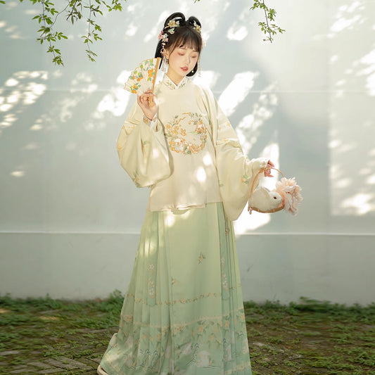 Ming Dynasty Mamian Clothing Yuemian Tuji 兔叽 Women's Chinese Traditional Hanfu Autumn Spring