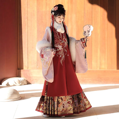 Ming Dynasty Clothing Youfenglaiyi 有凤来仪 Women's Chinese Traditional Thicken Velvet Lunar New Year Hanfu Autumn Winter
