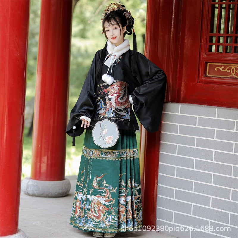 Ming Dynasty Clothing Longyinjiuxiao 龙吟九霄 Women's Chinese Traditional Hanfu Autumn Spring