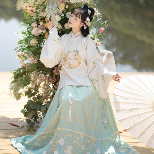 Ming Dynasty Mamian Clothing Yuemian Tuji 兔叽 Women's Chinese Traditional Hanfu Autumn Spring